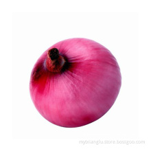 Gansu onion red onion fresh yellow onion